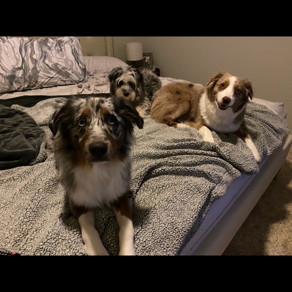 Welcome! I'm Taylor 😊 - Picture 3 of 4